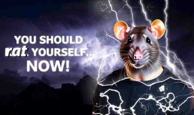 Rat Yourself Now